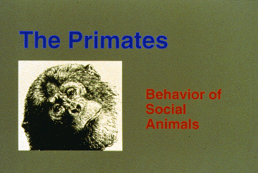 The Primate - Behavior of Social Animals