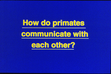 Title Slide: How do primates communicate?