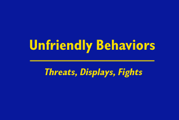 Title slide: Unfriendly Behaviors Threats, Displays, Fights