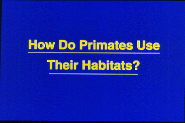 Question slide: How Do Primates Use Their Habitats?