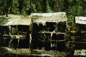 Houses built between a forest and a river; laundry hangs on porches.