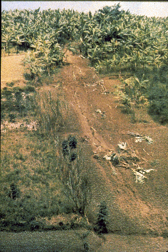 Partially forested hillside, with clear signs of erosion.