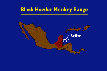 Map -- Black Howler Monkey Range (in red)