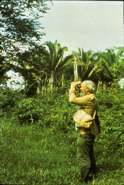 A scientist watches monkeys through his binoculars.