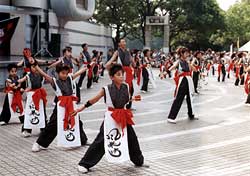 yosakoi naruko odori