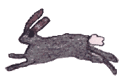 rabbit.gif (13489 bytes)
