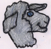 sheep.gif (24745 bytes)