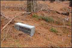 Live cat traps are set on the sand dunes around Whangapoua Beach on Great Barrier Island - Image: Heurisko Ltd