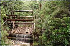 This dam was built in 1926 by George Murray of the Kauri Timber Company - Image: Heurisko Ltd. Camera provided by Lacklands Ltd