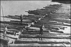 Logs were tied together and floated across to Auckland 100 km away - Image: NZ Herald & Weekly News, 1934