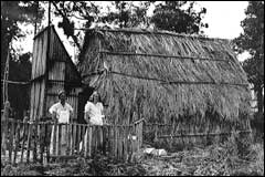 In 1933 settlers on the island lived and ate in nikau shanties such as this one at Peachtree Camp - Image: NZ Forest Service, DoC