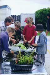 School children help with the potting out of native seedlings in March 2001 - Image: K.Baverstock