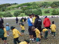 Looking at the rock pools