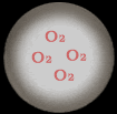 Oxygen:  O2