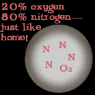 Nitrogen & Oxygen--yes!