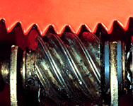 Worm Gear